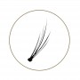 BL Lashes Flare Lash Point - Natural