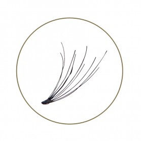 BL Lashes Flare Lash Knot Free