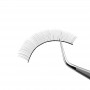 Mylashes strip lashes