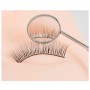 Lash Mirror