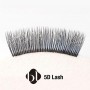 BL Lashes 5D-LASH D-curl MIX