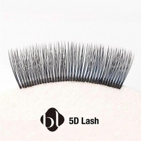 BL LASHES 5D-LASH D MIX